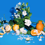 Load image into Gallery viewer, Heretic Parfum - Florgasm