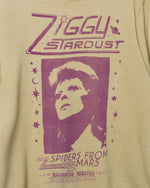 Load image into Gallery viewer, Junk Food Bowie Ziggy Stardust Tee - Close